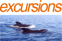 Excursions